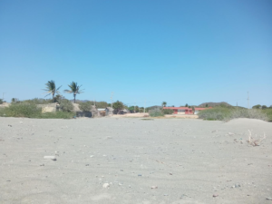 Captura-de-pantalla-2026-04-23-101112